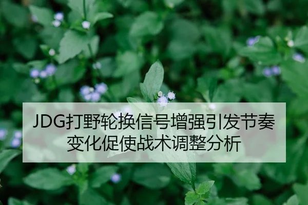 JDG打野轮换信号增强引发节奏变化促使战术调整分析