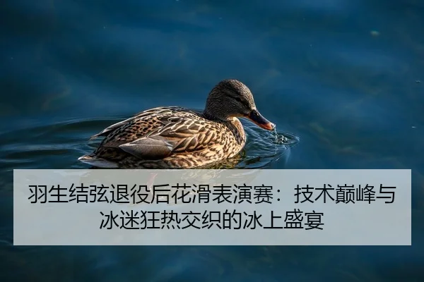 羽生结弦退役后花滑表演赛：技术巅峰与冰迷狂热交织的冰上盛宴